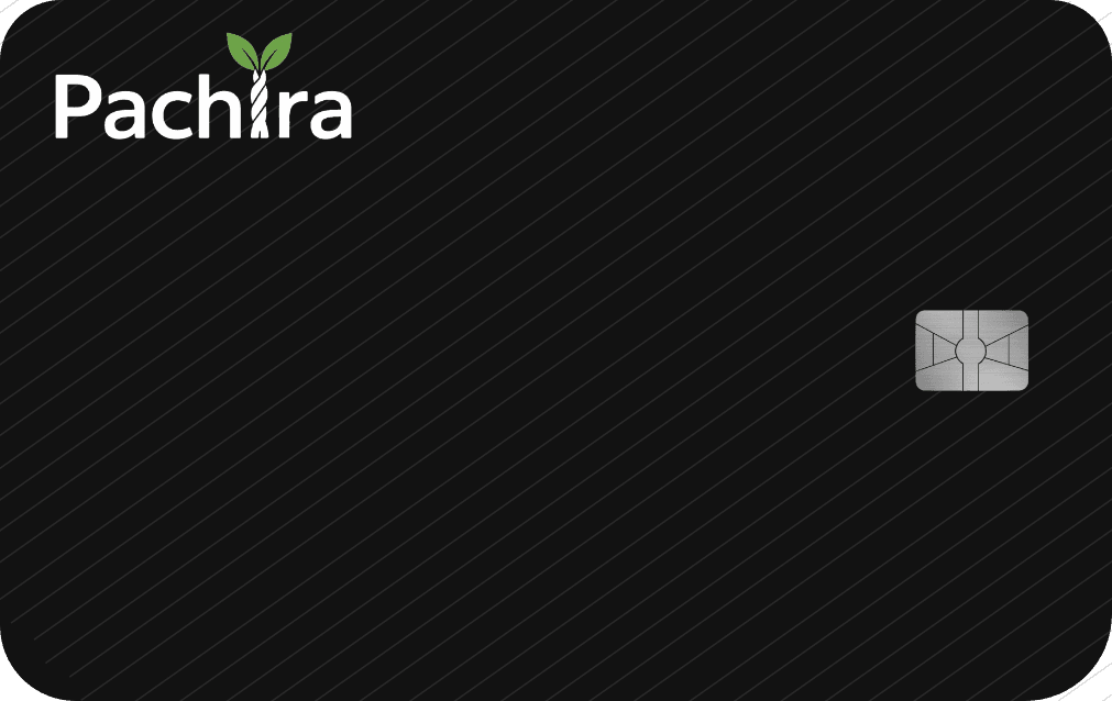 Pachira Card Design