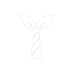 Pachira Logo